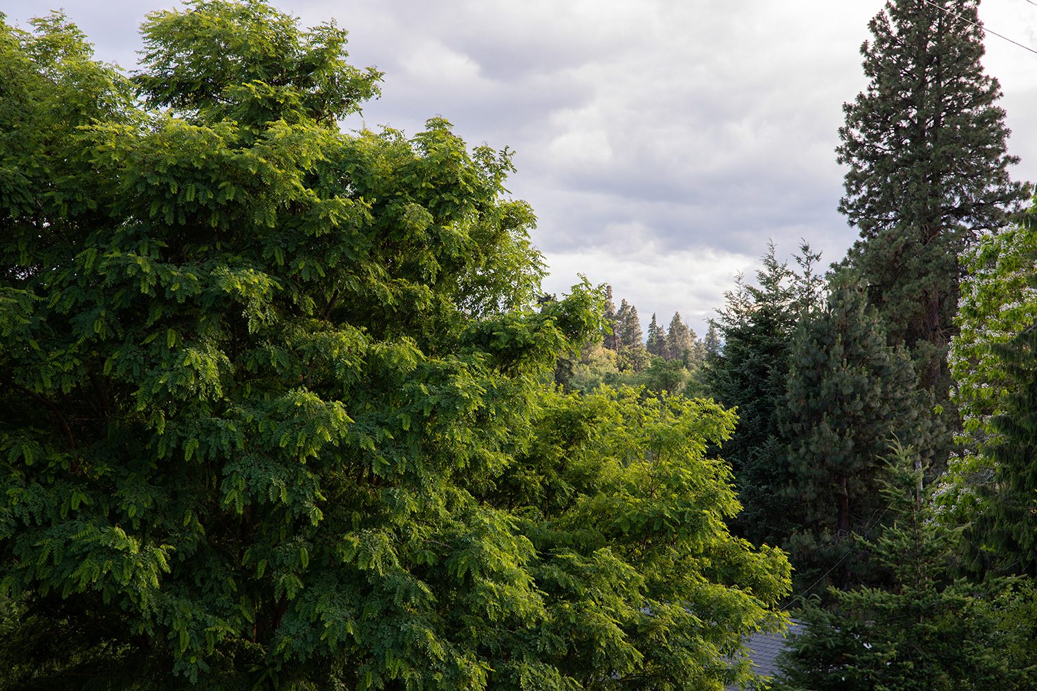 sigma 24 70mm f 2 8 art review f28 sample 5
