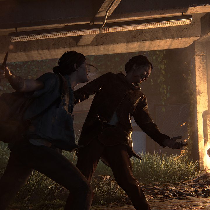 the last of us part 2 fire