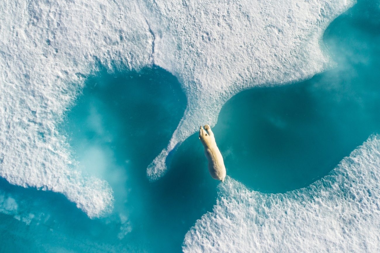 drone awards 2018 abovethepolarbear