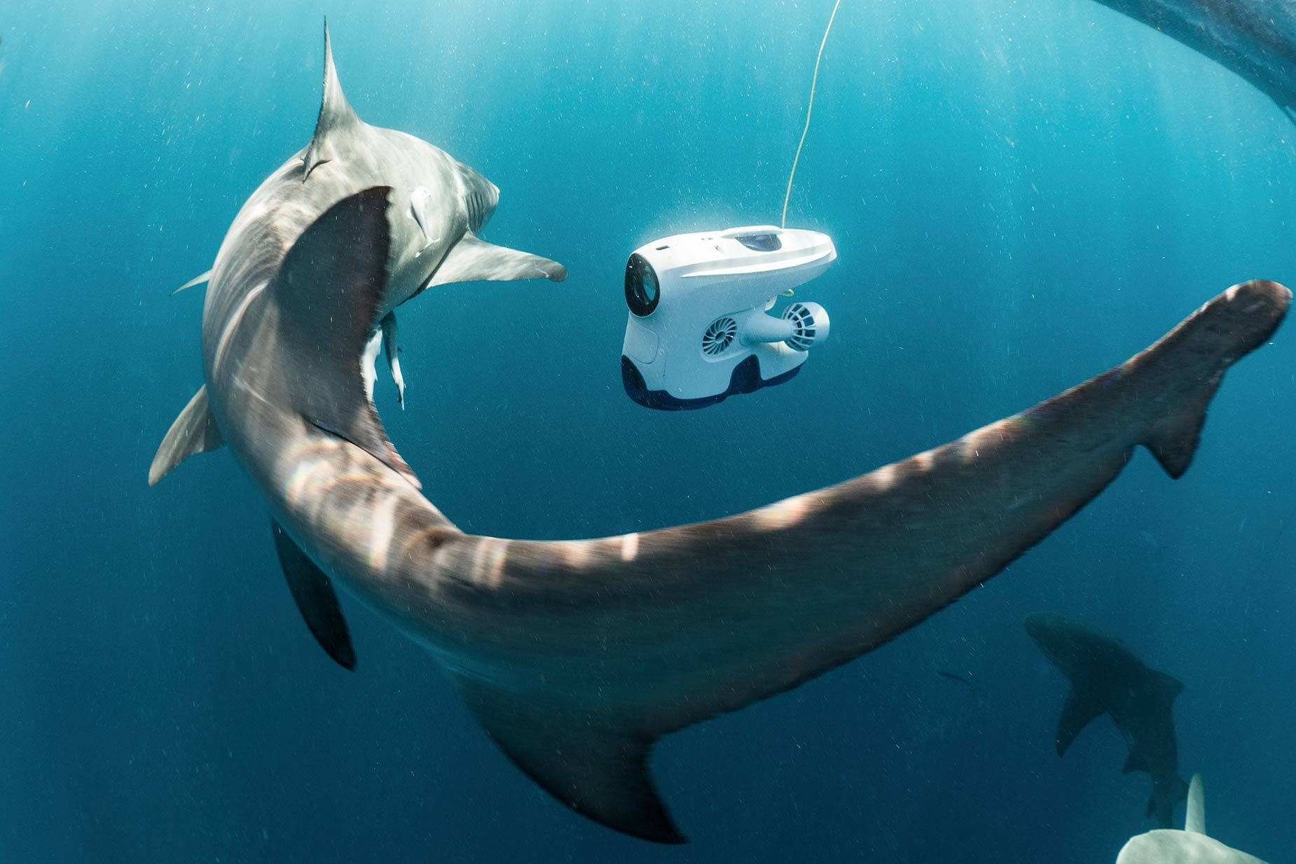 blueye pioneer underwater drone