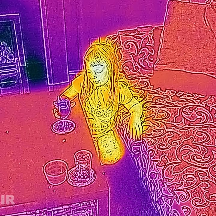 cat s61 review photo sample flir thermal girl