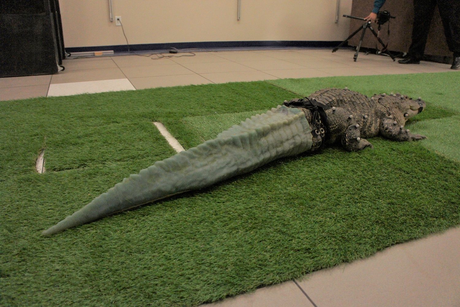 3d printed alligator tail dsc03111