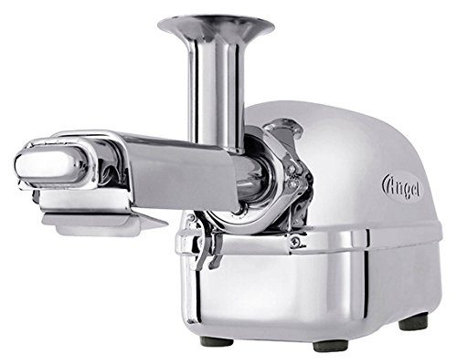 Super Angel SS Twin Gear Juicer