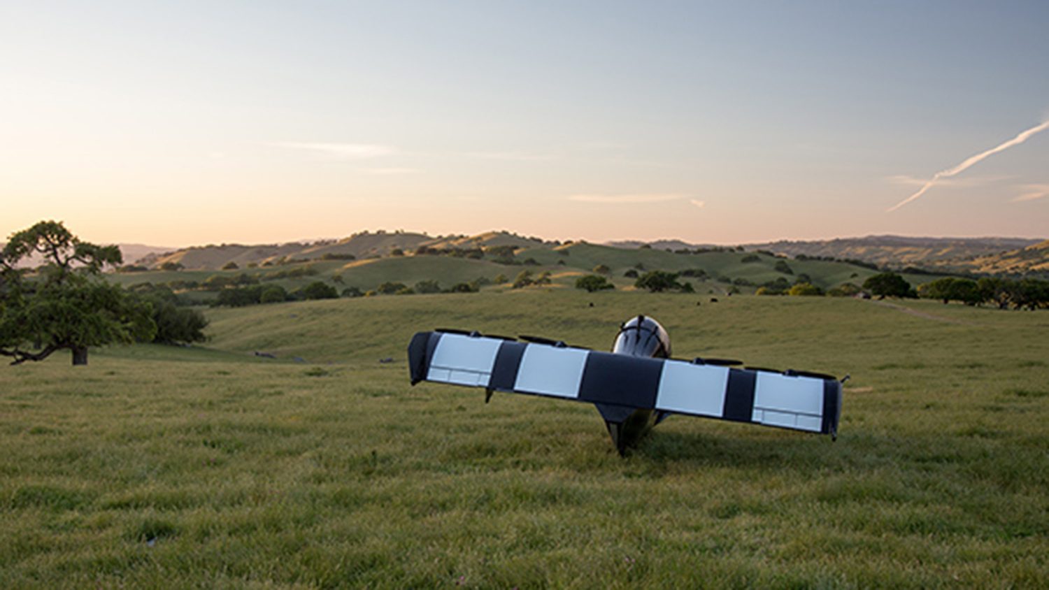 opener blackfly flying car rear field small