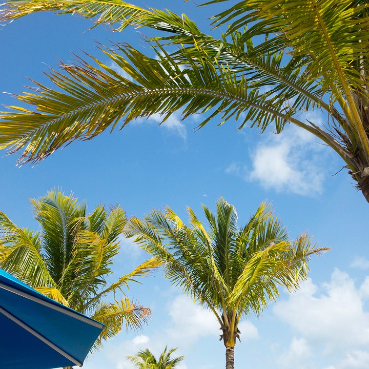 smartphone travel tips