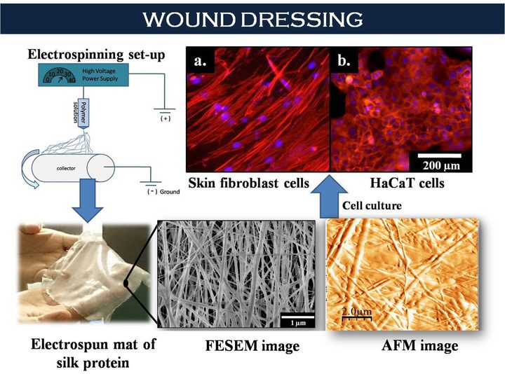 Spider Silk artificial skin