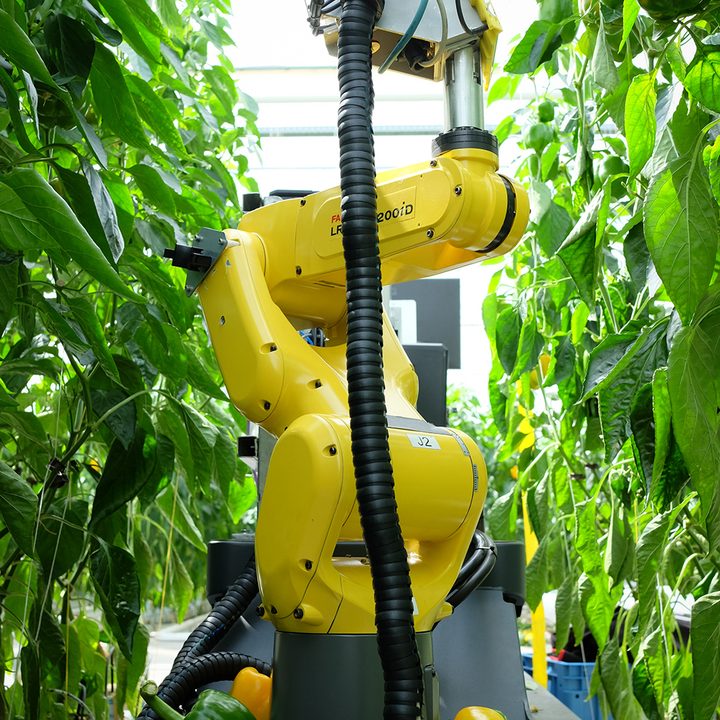 agribots are pushing farming into the future sweepbot vertical 1