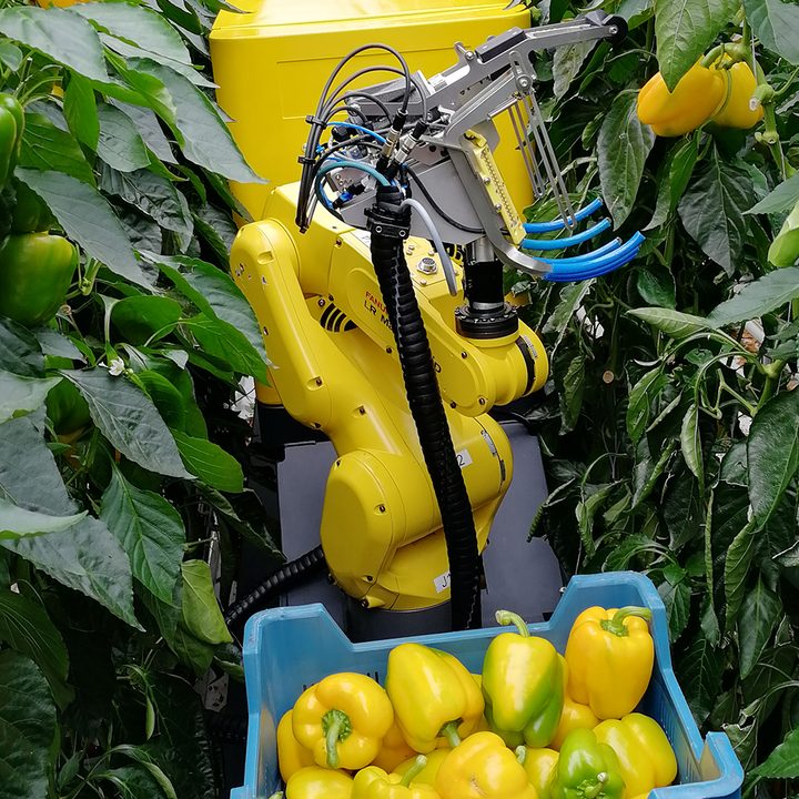agribots are pushing farming into the future sweepbot vertical 4