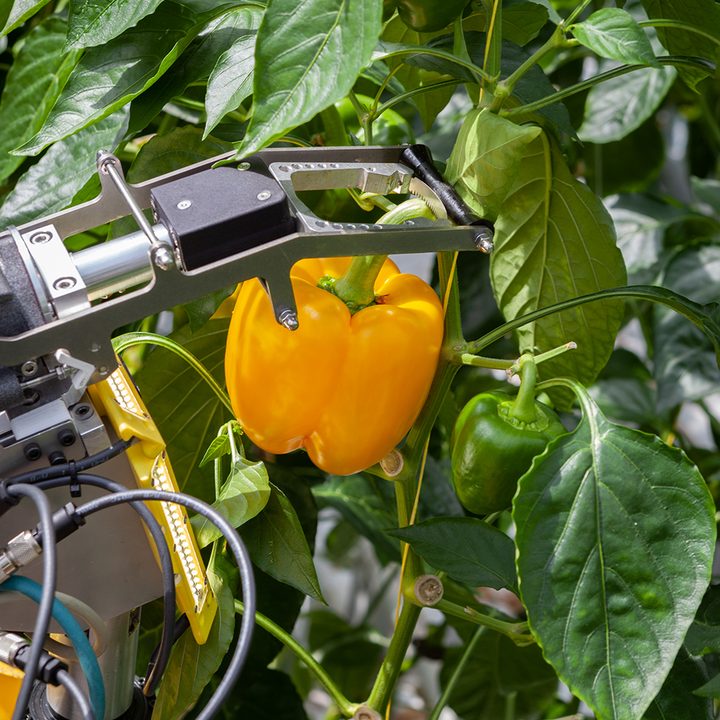 agribots are pushing farming into the future sweepbot vertical 5