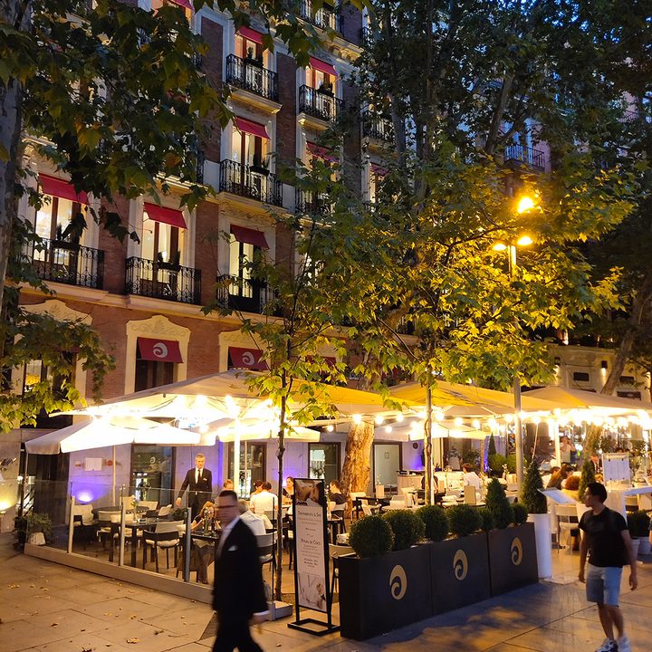 vivo nex s review camera sample portrait night park
