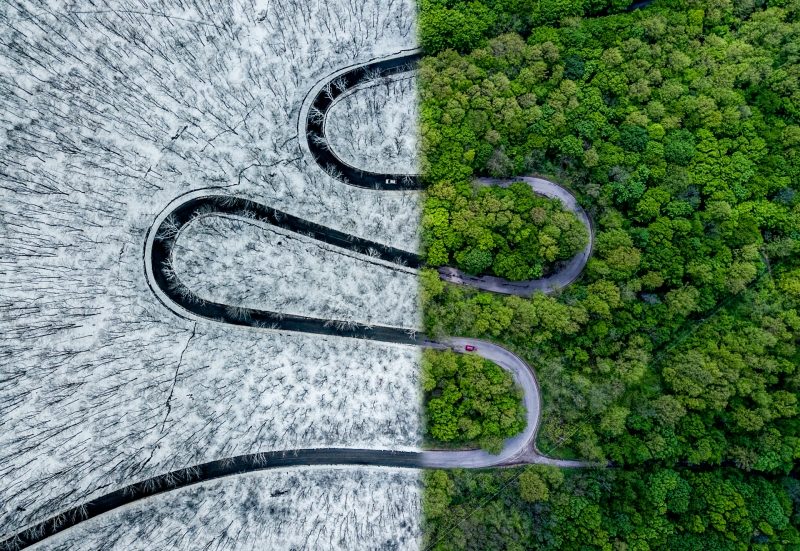 drone awards 2018 weather snake