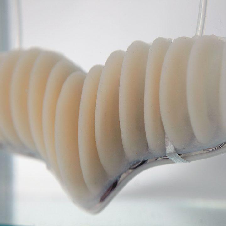 amphibio gills are designed to let humans breathe underwater working prototype 2
