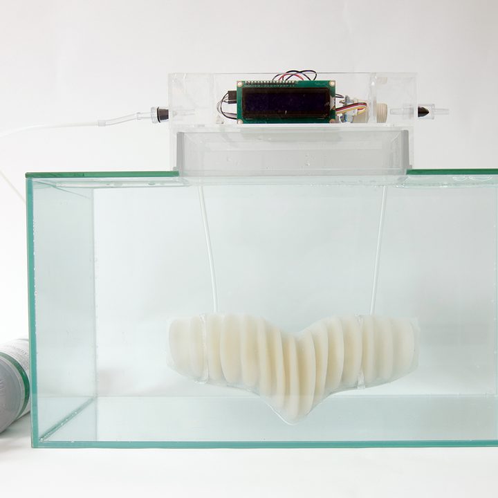 amphibio gills are designed to let humans breathe underwater working prototype 3