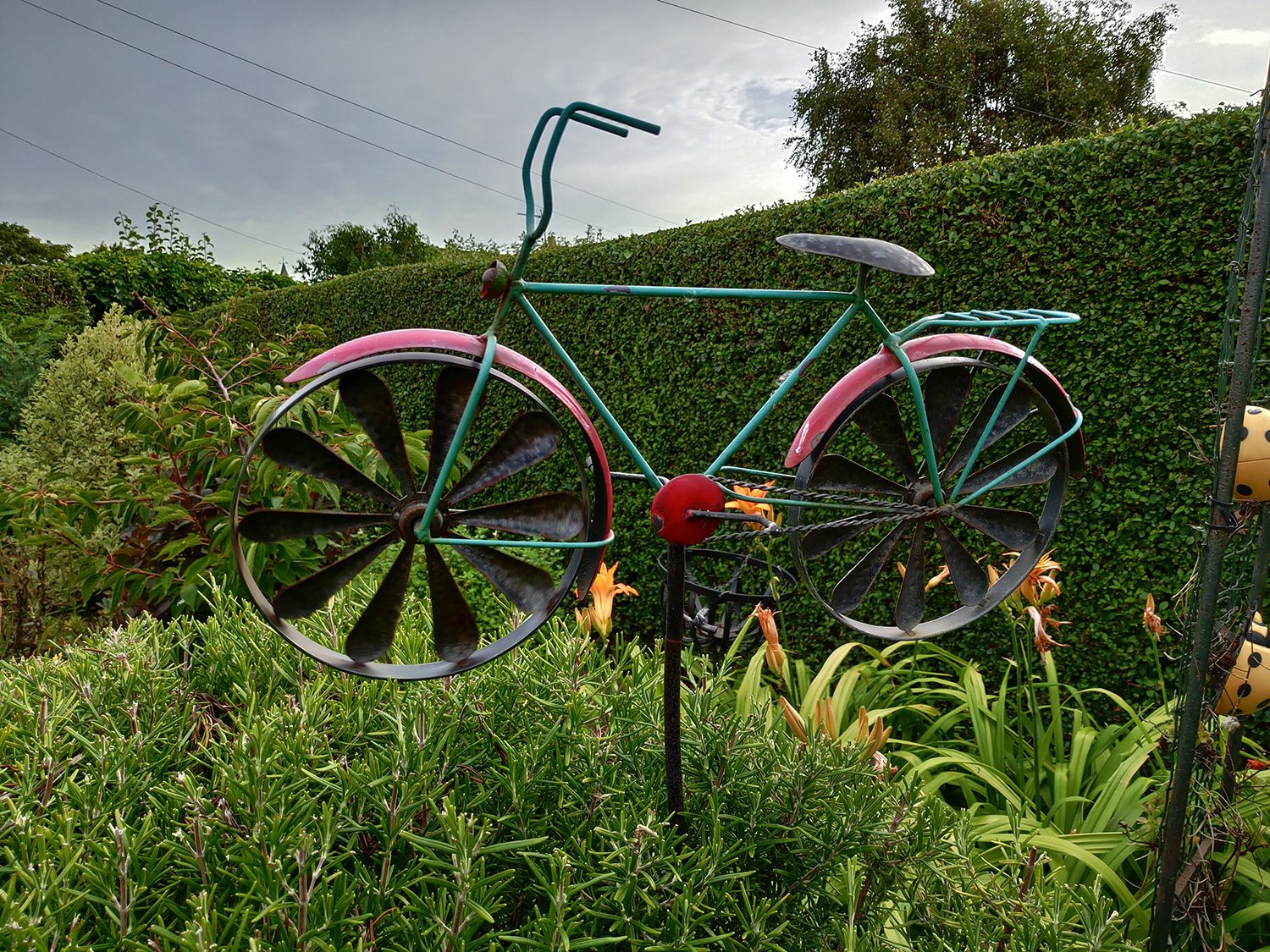 asus zenfone 5z review photo bike