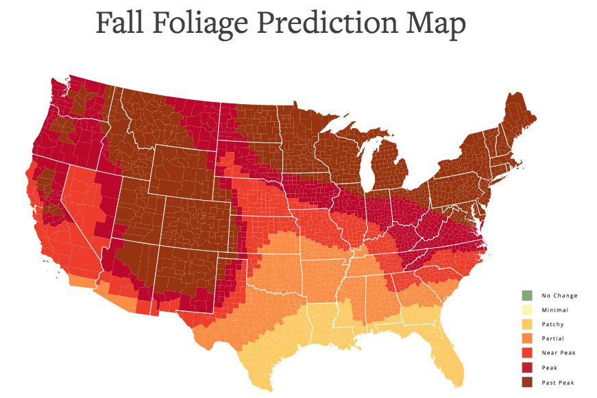 Photo op: This interactive foliage map will help you plan your fall ...