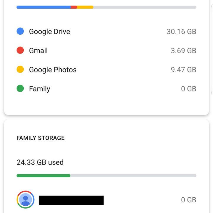 google one news family plan