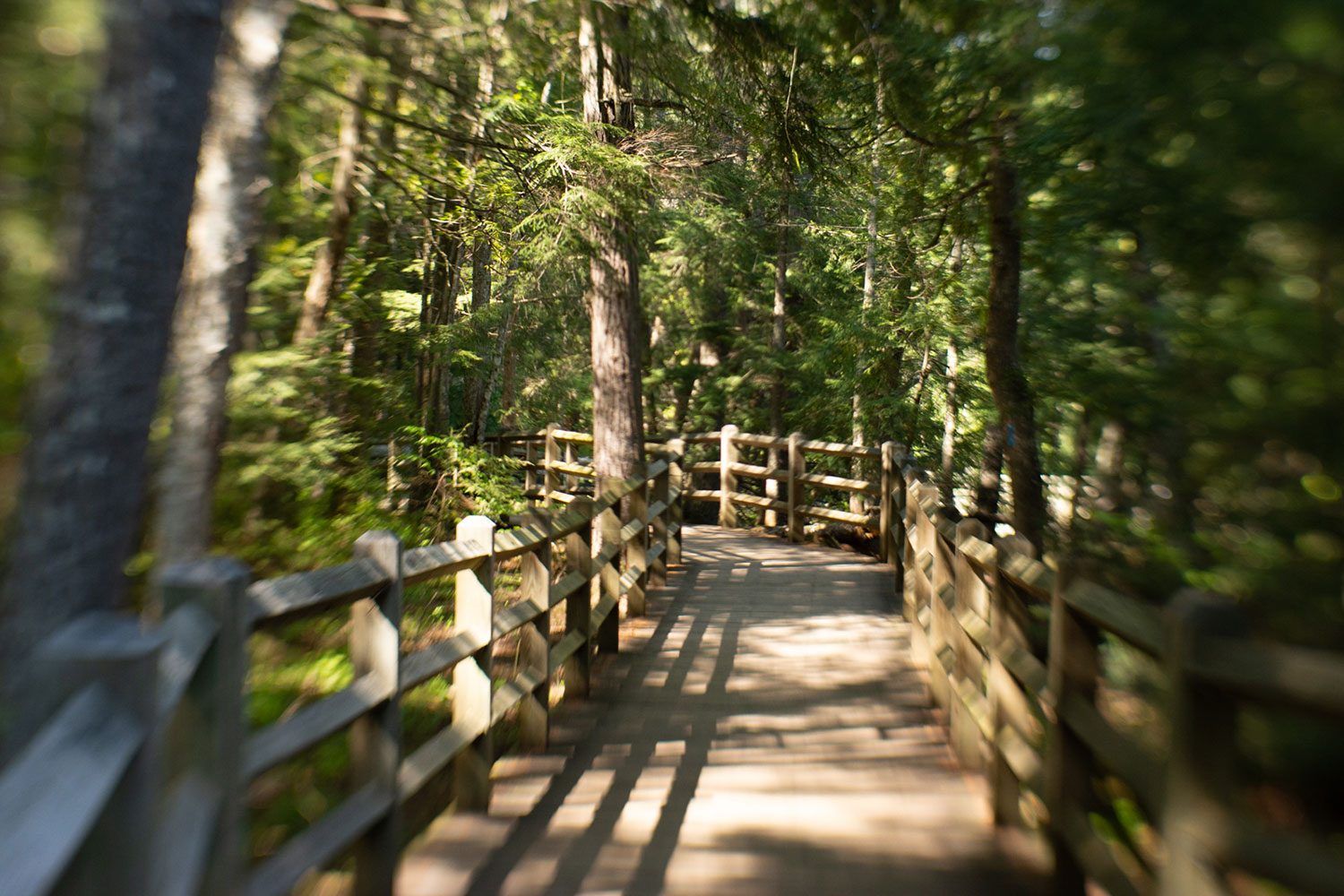 lensbaby sol 45 review sample 2
