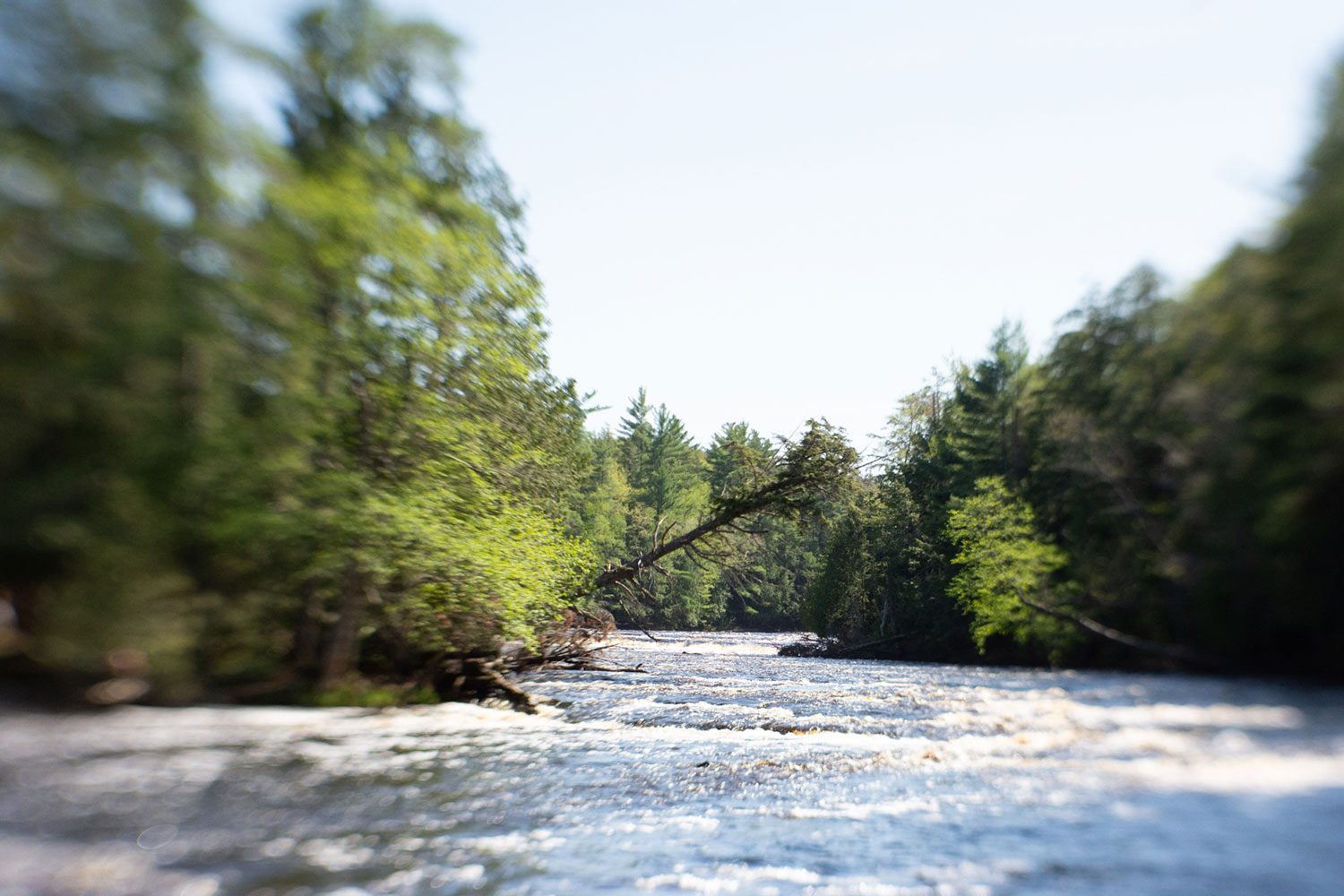 lensbaby sol 45 review sample 3