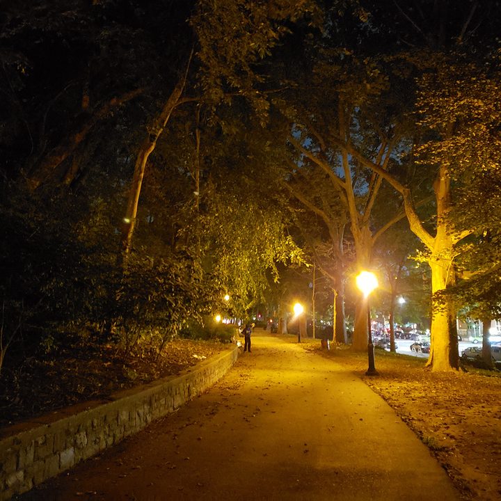 photo scene optimizer comp park night