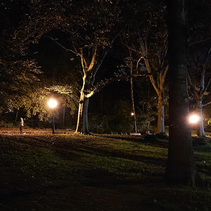 park at night