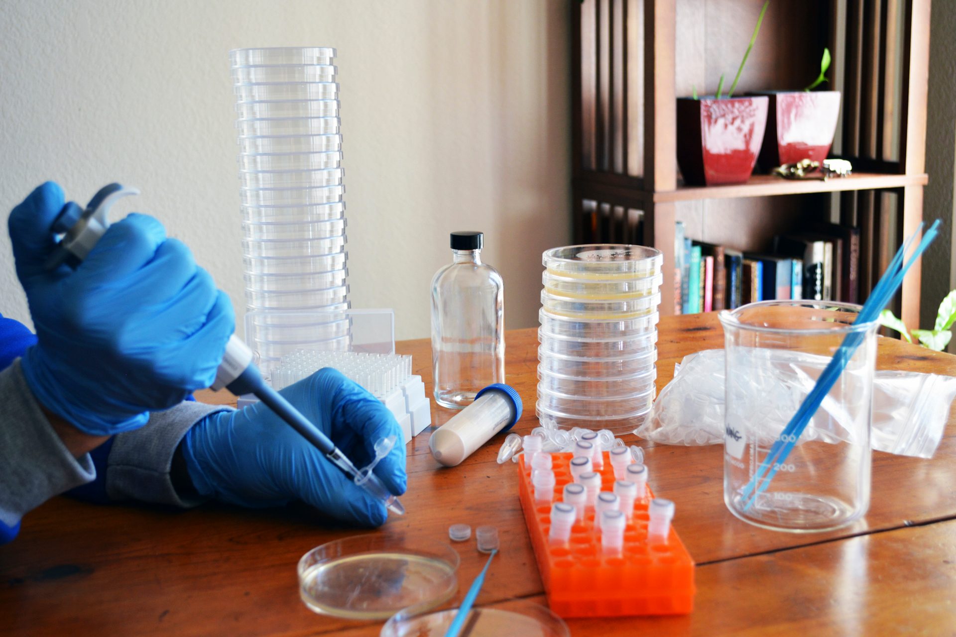 DIY CRISPR/Cas9