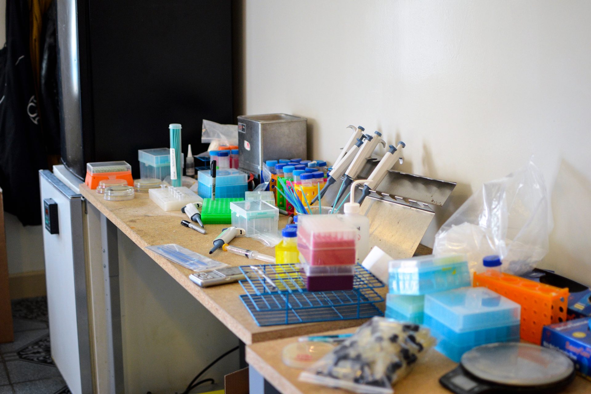 DIY CRISPR/Cas9