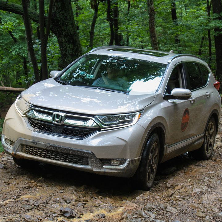 Trail Trek Tour