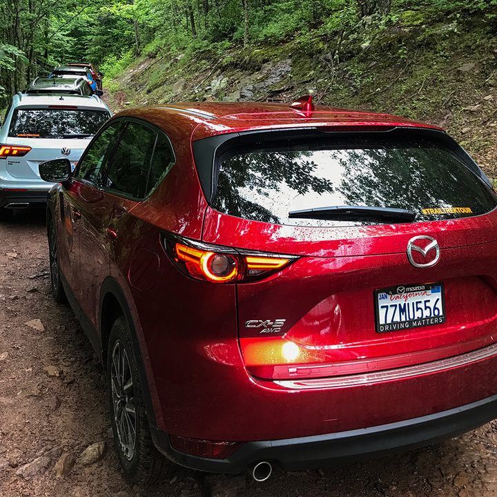 Trail Trek Tour