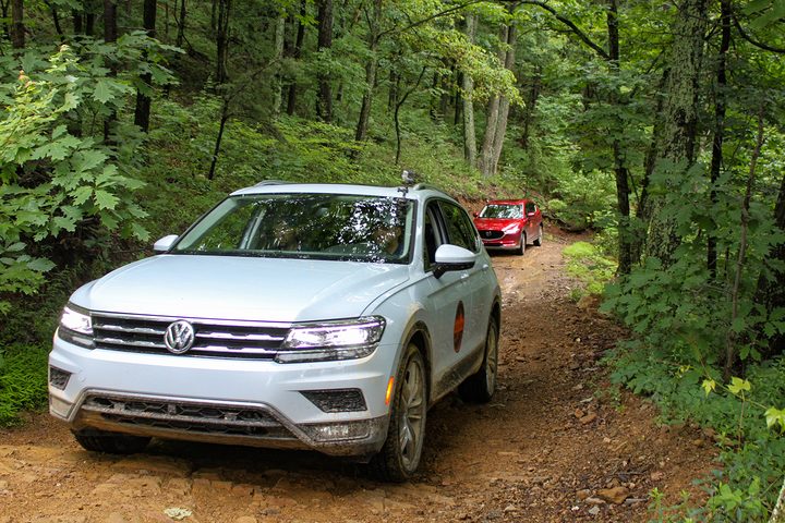 Trail Trek Tour