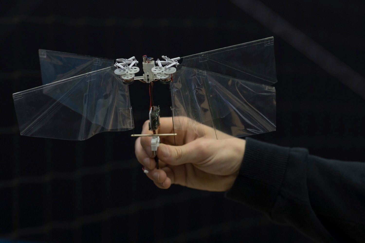 robot flaps just like a fruit fly 20180124 img 4986