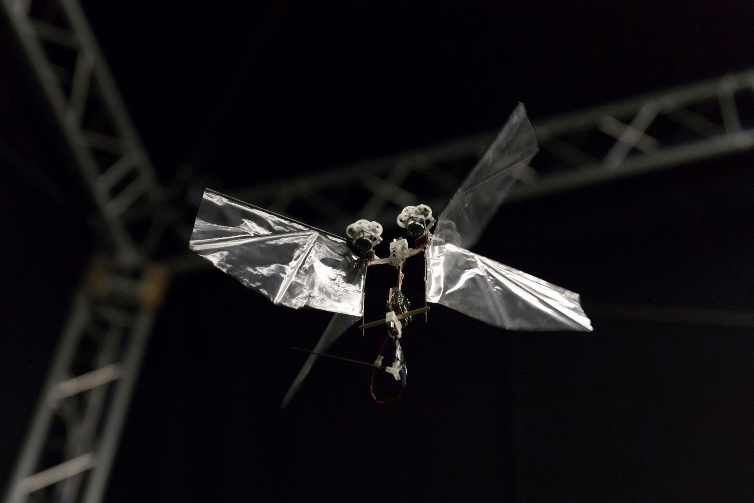 robot flaps just like a fruit fly 20180124 img 5902