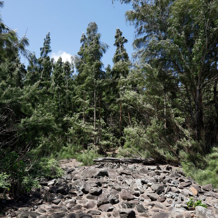 Canon EOS R Sample Photos