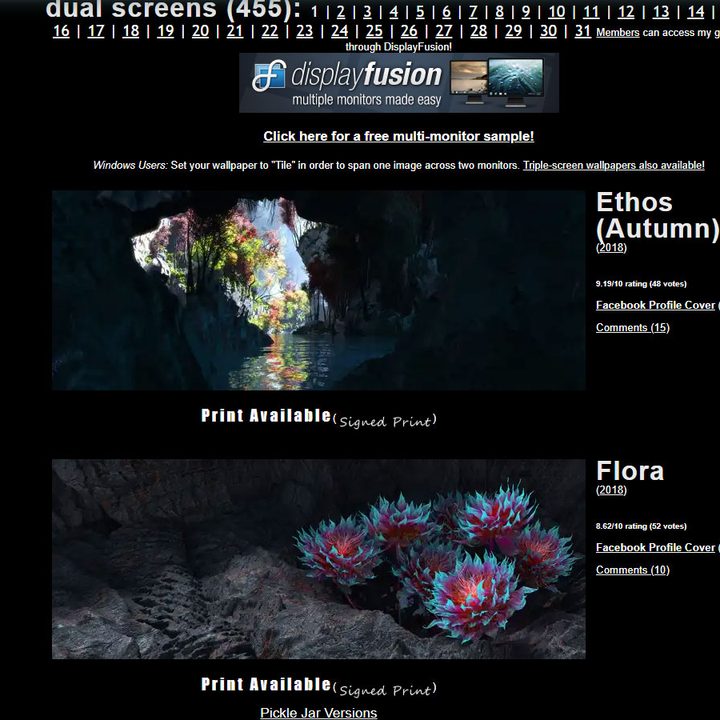 Digital Blasphemy website screenshot showing two of its available wallpapers: Ethos (Autumn) and Flora.