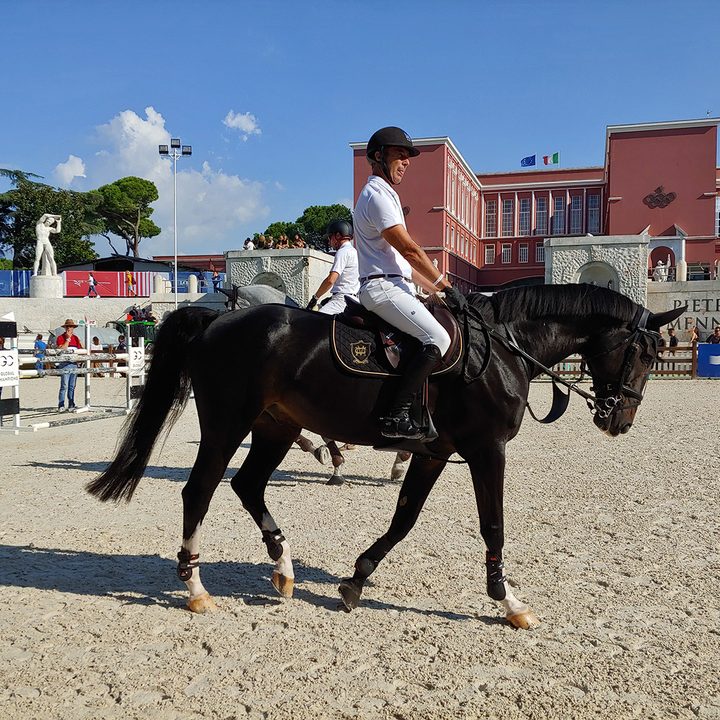 lg g7 thinq camera sample horse