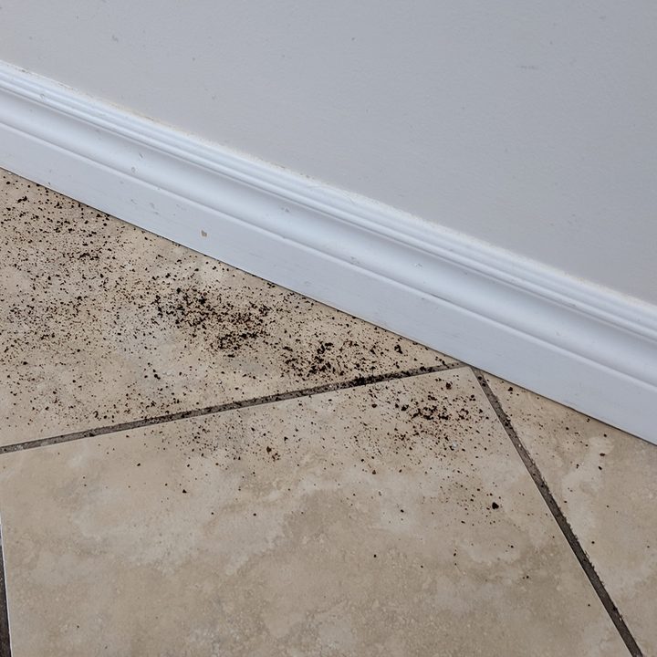 irobot roomba i7+ edge cleaning before