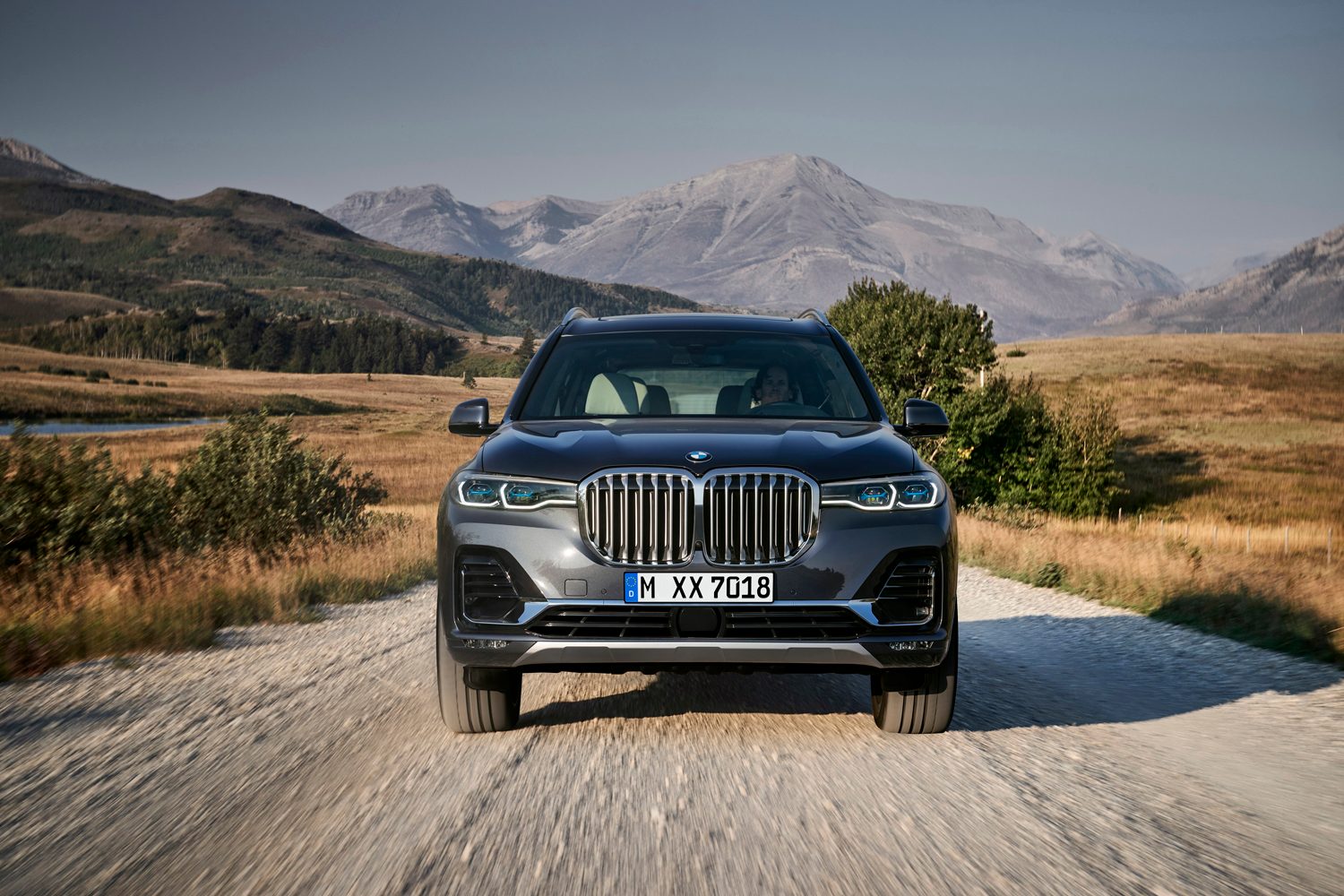 2019 BMW X7