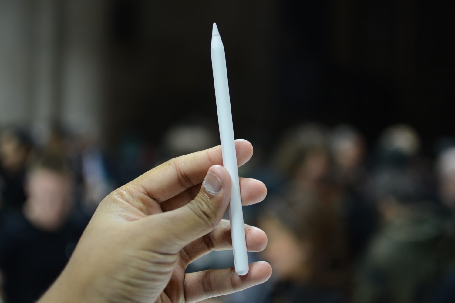 Apple Pencil in hand.