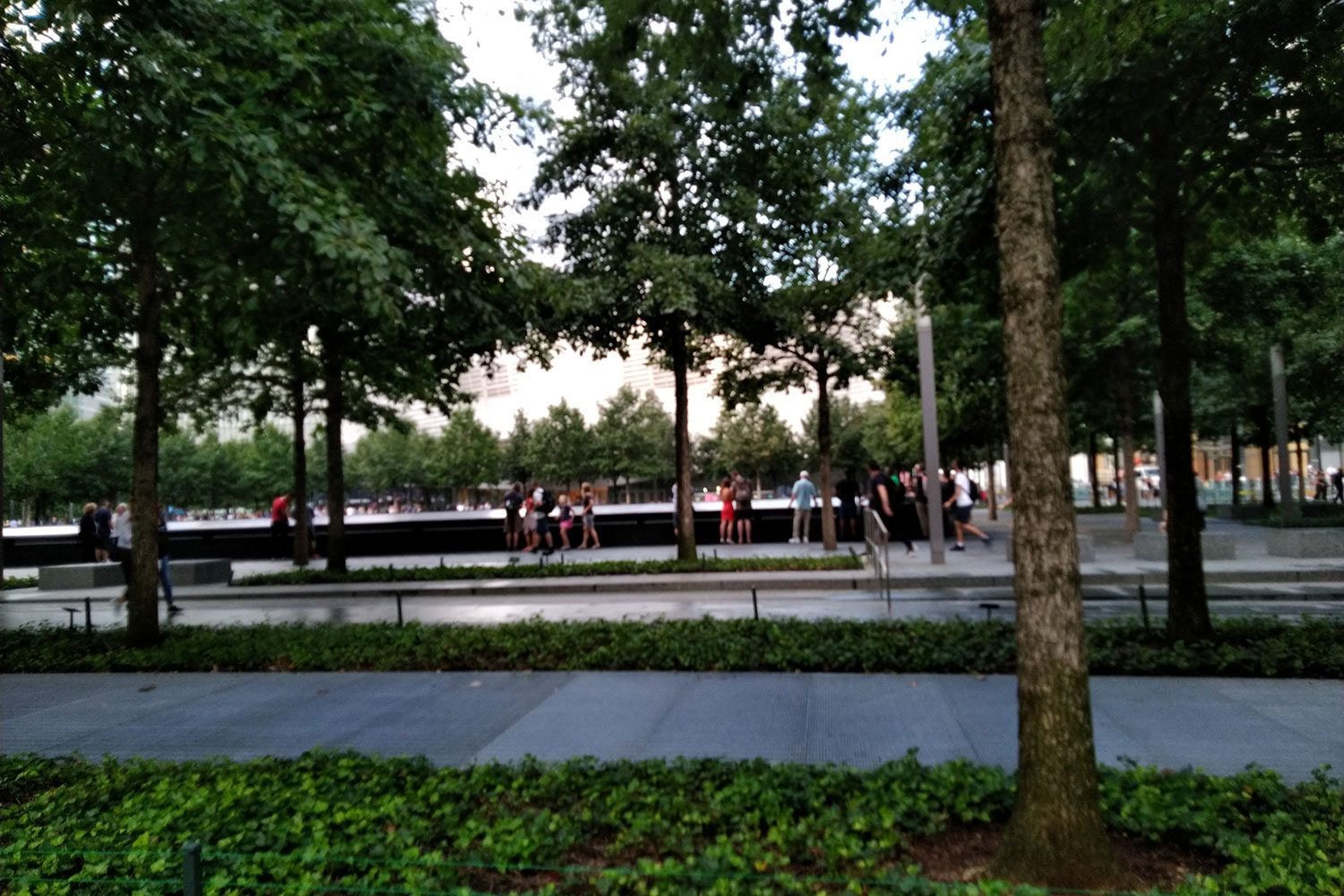 asus zenfone 5q review camera sample 6