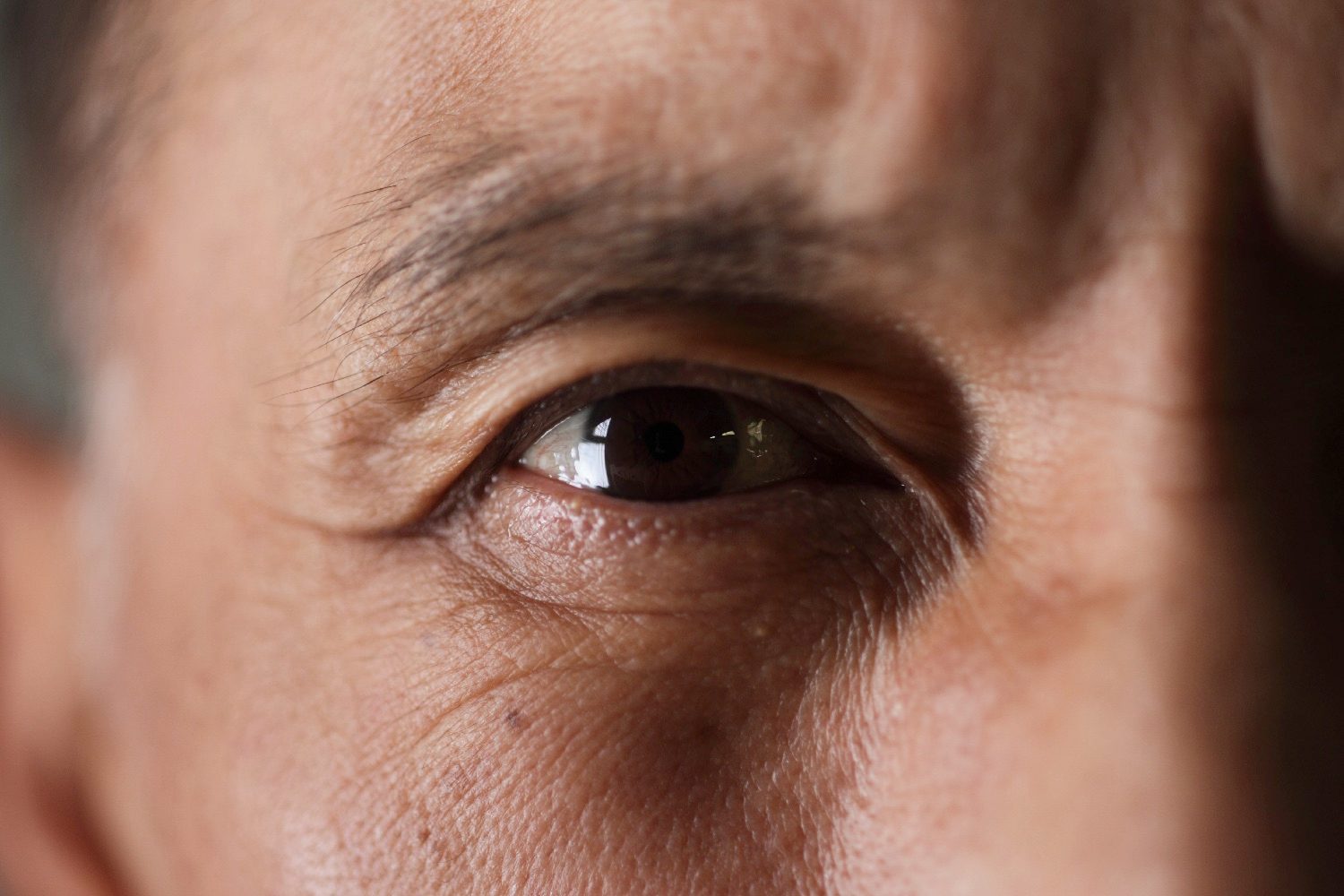 Closeup