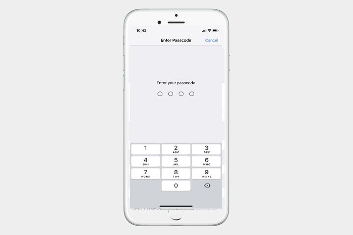 Face ID Password Screen