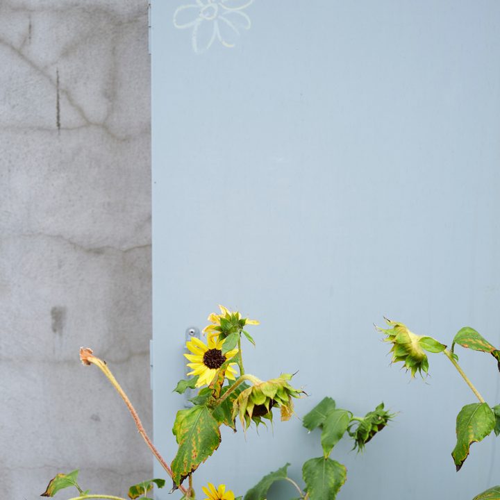 Fujifilm X-T3 Sample Images