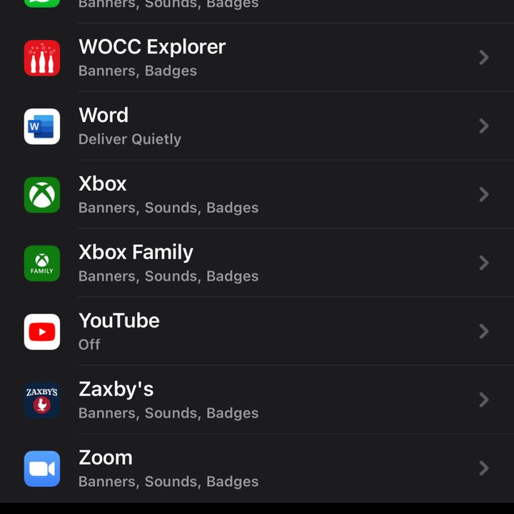 The Amber Alerts On option in iOS 14.