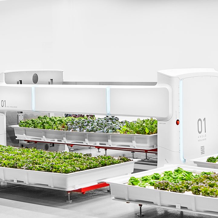 iron ox opens first automated farm ironox feature 2