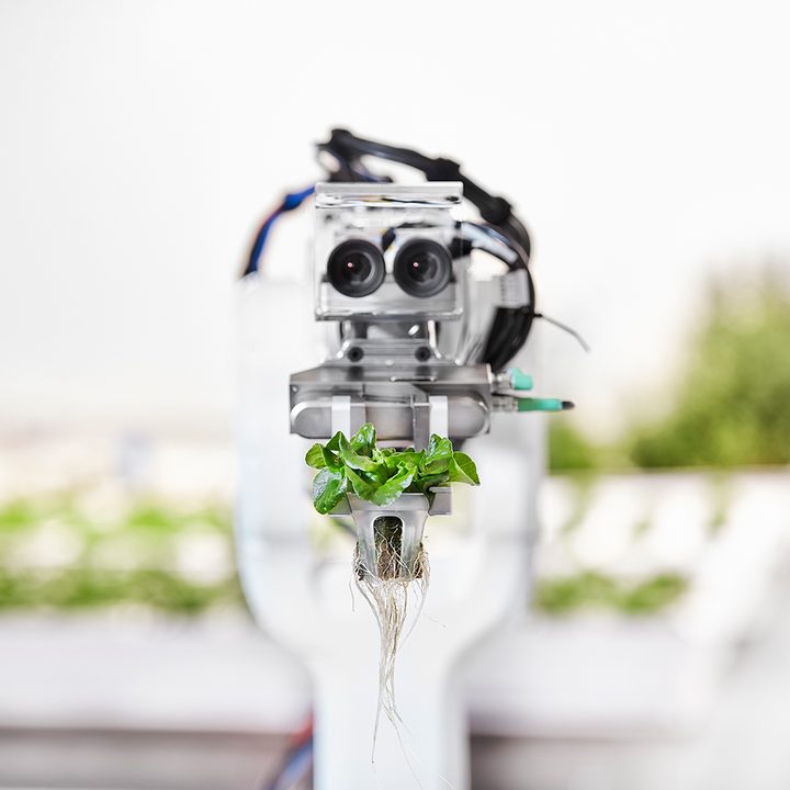 iron ox opens first automated farm ironox feature 3