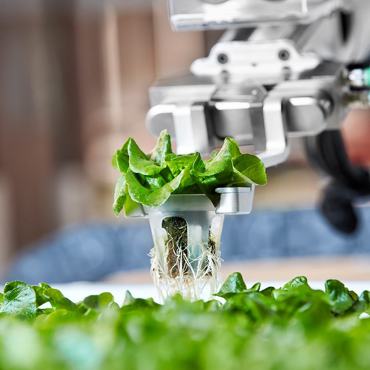 iron ox opens first automated farm ironox feature 5