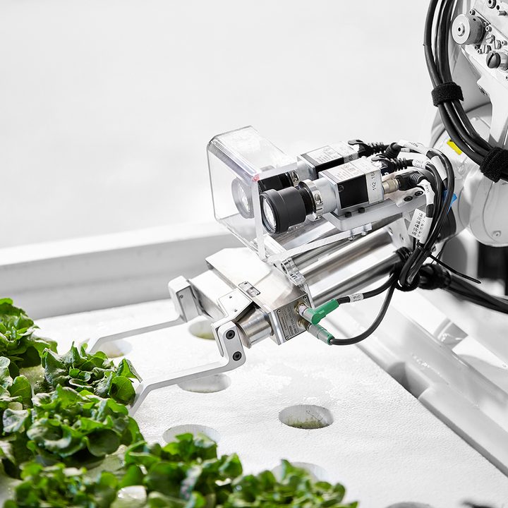iron ox opens first automated farm ironox feature 6