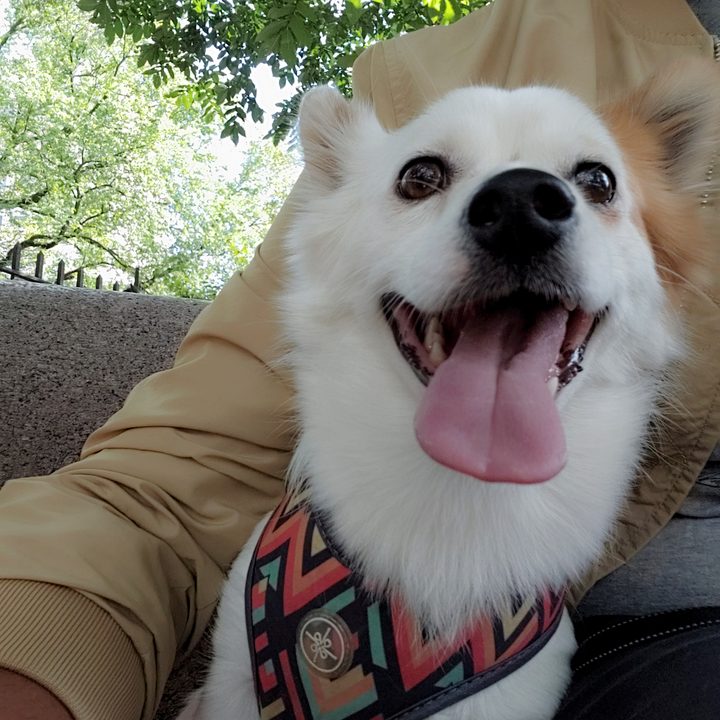 lg v40 thinq review front camera sample 4911