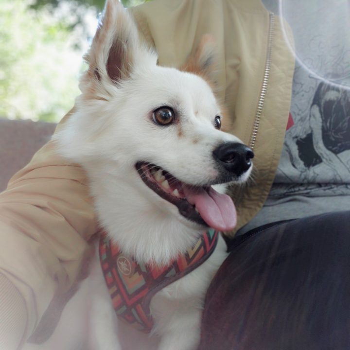 lg v40 thinq review front camera sample 4913