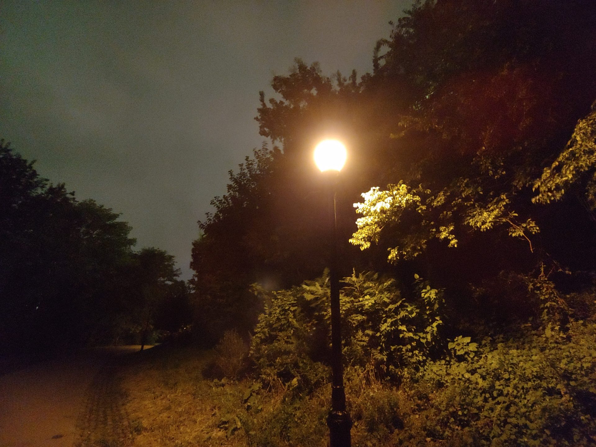 LG V40 ThinQ Review Sample Images