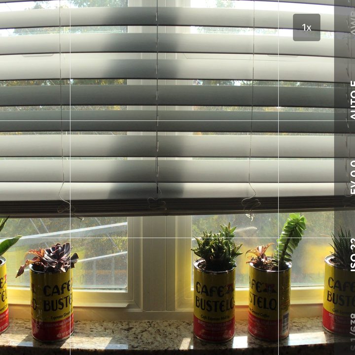 Moment Anamorphic lens app